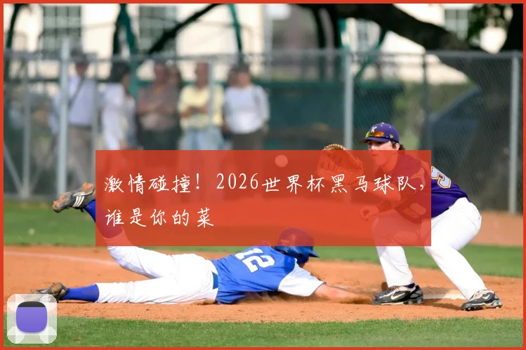 激情碰撞！2026世界杯黑马球队，谁是你的菜